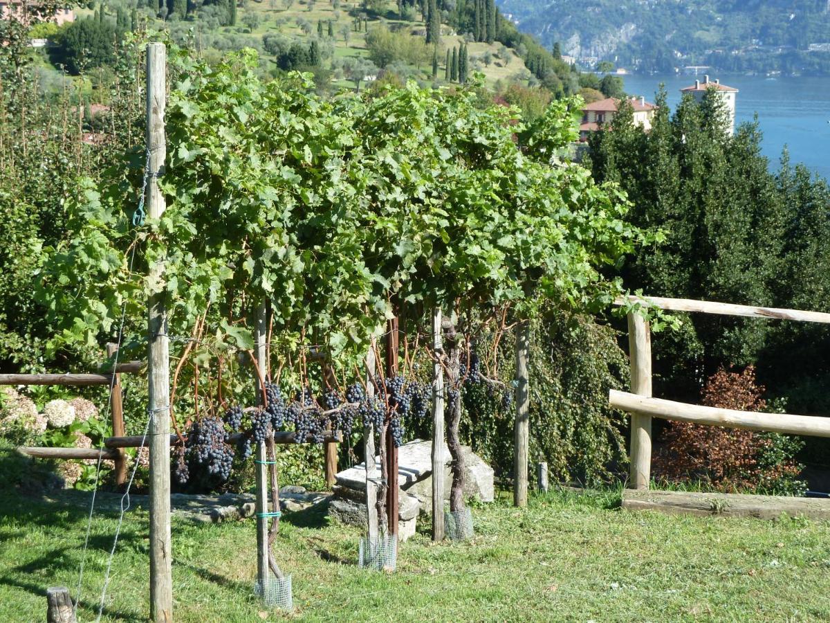 Bellagio Il Crotto别墅 外观 照片