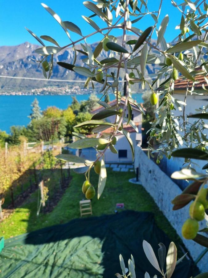 Bellagio Il Crotto别墅 外观 照片